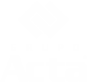 Grupo Acta